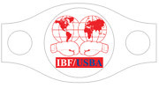 WBC (World Boxing Council), Всесвітня боксерська рада, д ЧИННИМ чемпіон - Віталій Кличко