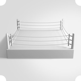Боксерський ринг є квадрат зі сторонами 6,1 метрів, висота канатів складає 1,3 метра