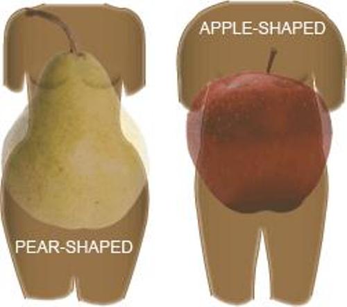 яблуко (груди ширше стегон, які ширше талії приблизно на 20 см в обхваті;   груша - стегна більше грудей, а талія менше стегон на 30 см