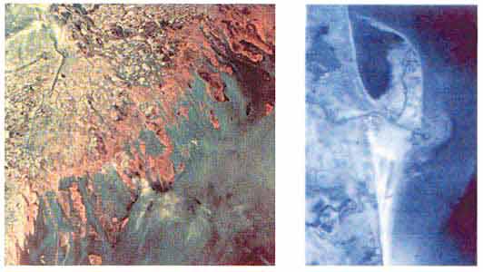 Космічний знімок дельти Волги (зліва) і аерофотознімок дельти Сулака