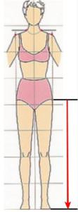 Довжину ніг потрібно міряти від шиї виступу стегнової кістки (див