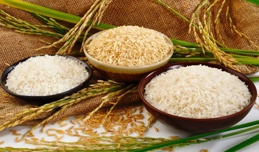 Вирощування рису розвинене в багатьох країнах