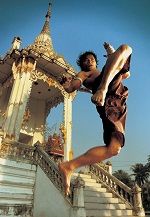 На сьогоднішній день удар коліном в тайському боксі визнаний найпотужнішим ударом з усіх нині існуючих