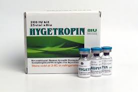 Одним з найефективніших вважається гормон Hygetropin, абсолютно ідентичний гормону росту, який виробляється людським організмом