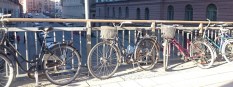 Гід і взяти в прокат велосипед допоможе, і багато іншого цікавого про шведську життя розповість