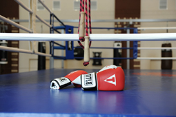 Секція боксу - це місце, де викладають основи боксу і його різновидів