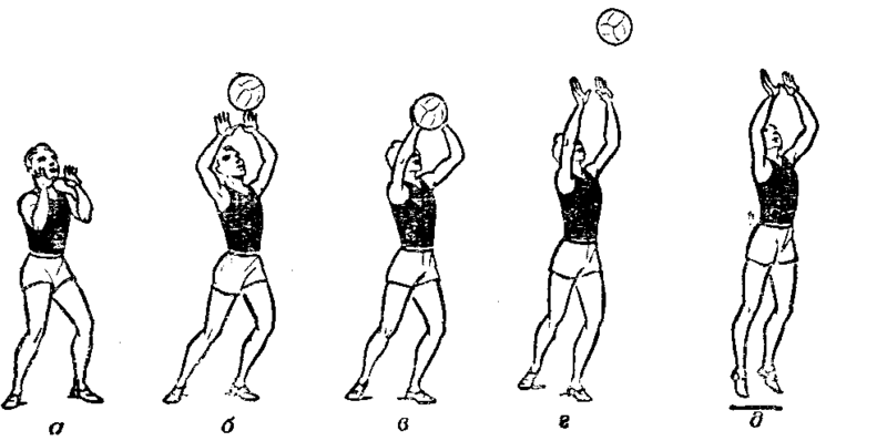 Для виштовхування м'яча в потрібному напрямку відбувається розпрямлення колінних, ліктьових і зап'ястних суглобів