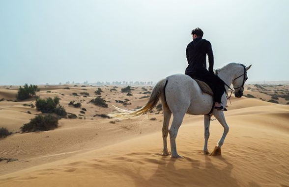 Дуров выложил в Instagram фотографию себя на белом коне